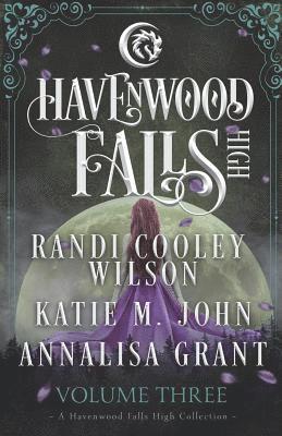 bokomslag Havenwood Falls High Volume Three: A Havenwood Falls High Collection