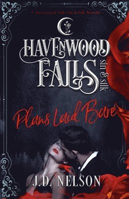 Kristie Cook, Liz Ferry - Plans Laid Bare: (A Havenwood Falls Sin & Silk Novella), Häftad