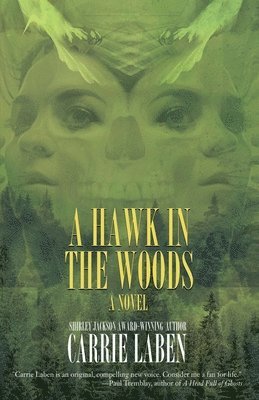 A Hawk in the Woods 1