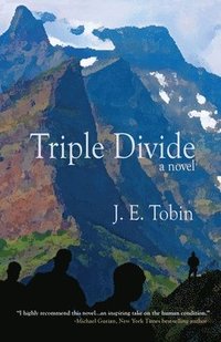 bokomslag Triple Divide
