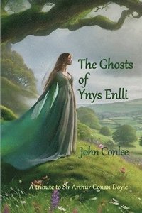 bokomslag The Ghosts of Ynys Enlli