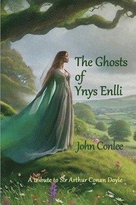 bokomslag The Ghosts of Ynys Enlli