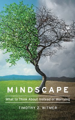 bokomslag Mindscape: What to Think about Instead of Worrying