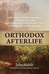 bokomslag Orthodox Afterlife