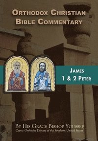 bokomslag Orthodox Christian Bible Commentary