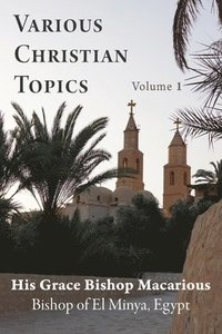 bokomslag Various Christian Topics