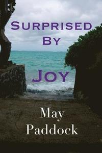 bokomslag Surprised by Joy