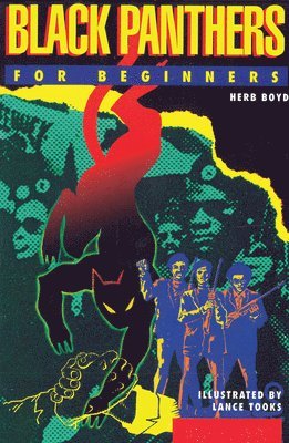 Black Panthers  for Beginners 1