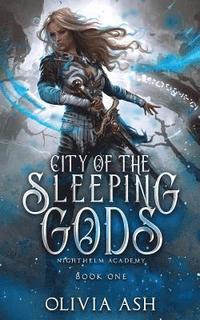 bokomslag City of the Sleeping Gods: a Reverse Harem Fantasy Romance