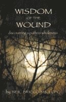 bokomslag Wisdom of the Wound: Discovering a Path to Wholeness