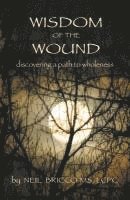bokomslag Wisdom of the Wound