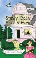 Stewy Baby Finds a Home 1