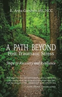 bokomslag A Path Beyond Post Traumatic Stress: Steps to Recovery and Resilience
