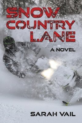 Snow Country Lane 1