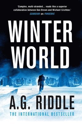 bokomslag Winter World