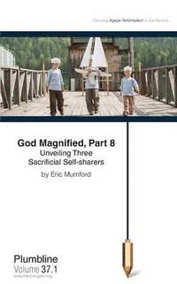 bokomslag God Magnified, Part 8