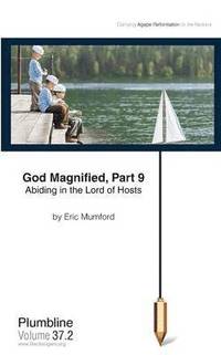bokomslag God Magnified Part 9