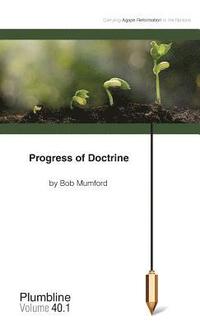bokomslag Progress of Doctrine
