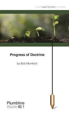 bokomslag Progress of Doctrine