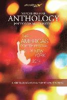 bokomslag Multilingual Anthology: The Americas Poetry Festival 2014