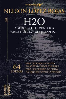 bokomslag H2O