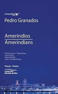 bokomslag Amerindios / Amerindians
