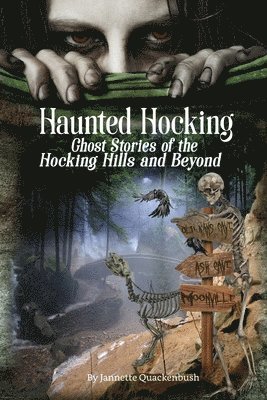 bokomslag Haunted Hocking