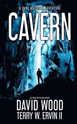 Terry W. Ervin II, David Wood - Cavern: A Dane Maddock Adventure, Häftad