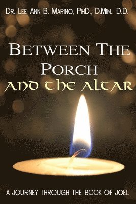 Lee Ann B Marino, Lee Ann B. Marino - Between The Porch And The Altar, Häftad