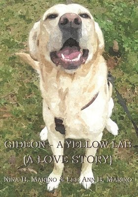 bokomslag Gideon - A Yellow Lab