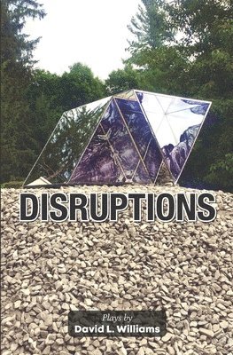 bokomslag Disruptions