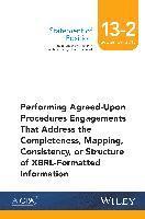 bokomslag SOP 13-2 Performing Agreed-Upon Procedures Engagements -XBRL-Formatted Information