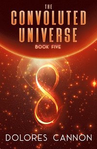 bokomslag Convoluted Universe: Book Five