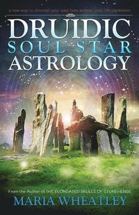 bokomslag Druidic Soul Star Astrology