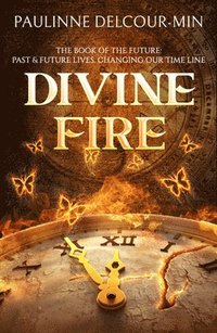 bokomslag Divine Fire