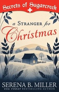 bokomslag A Stranger for Christmas