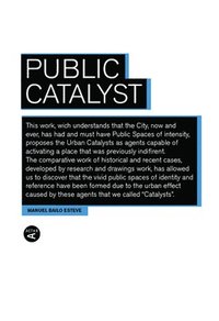 bokomslag Public Catalyst