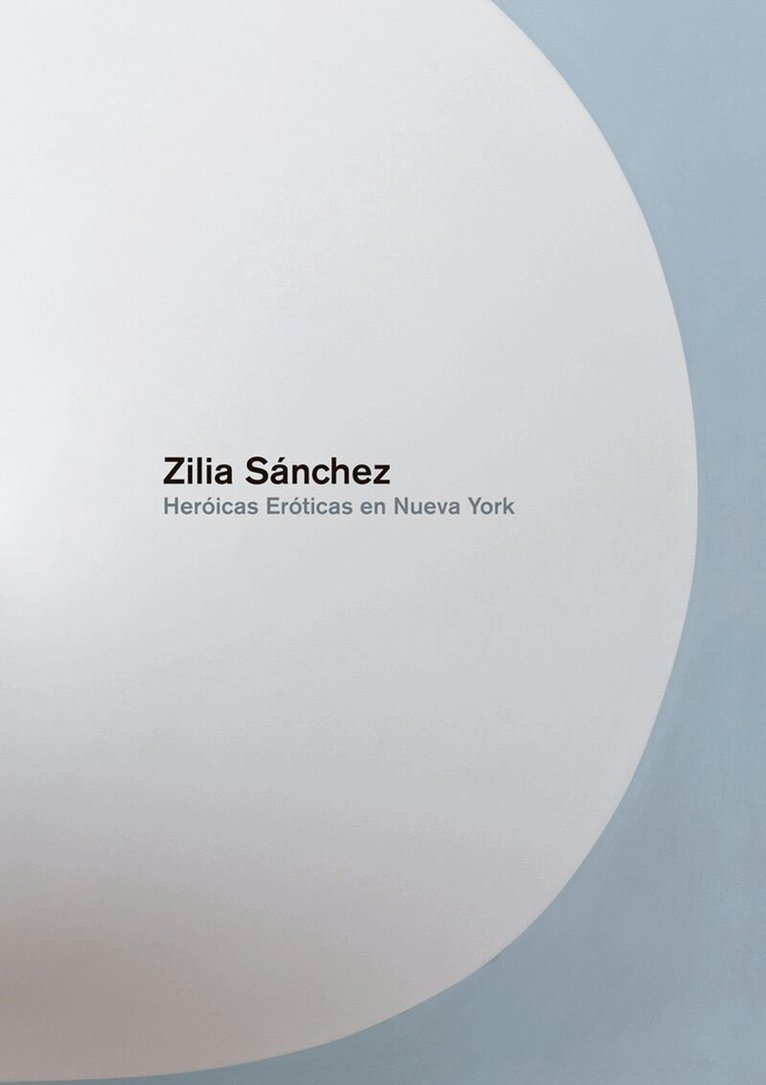 Zilia Sanchez, Inbunden
