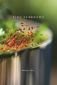 bokomslag Tiny Taxonomy
