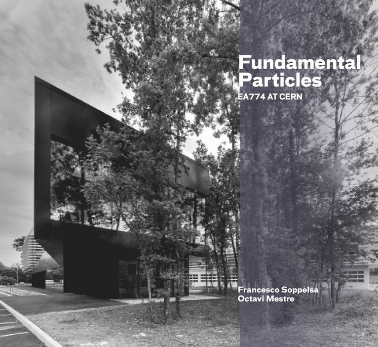 Francesco Soppelsa, Octavio Mestre, Francesco Soppelsa, Octavio Mestre - Fundamental Particles, Häftad