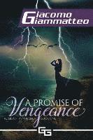Giacomo Giammatteo - A Promise of Vengeance: Rules of Vengeance, Book I, Häftad
