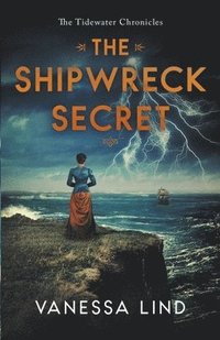 bokomslag The Shipwreck Secret