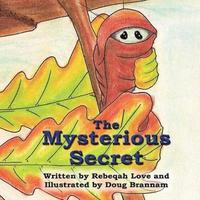 bokomslag The Mysterious Secret