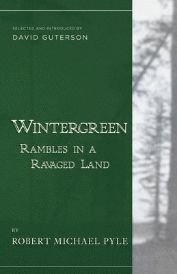 Wintergreen 1
