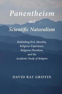 bokomslag Panentheism and Scientific Naturalism: Rethinking Evil, Morality, Religious Experience, Religious Pluralism, and the Academic Study of Religion