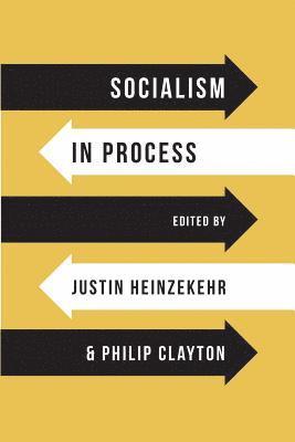 Justin Heinzekehr, Philip Clayton - Socialism in Process, Häftad