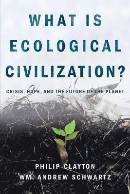 Philip Clayton, Wm Andrew Schwartz - What is Ecological Civilization, Häftad