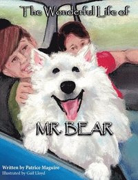 bokomslag The Wonderful Life of Mr. Bear