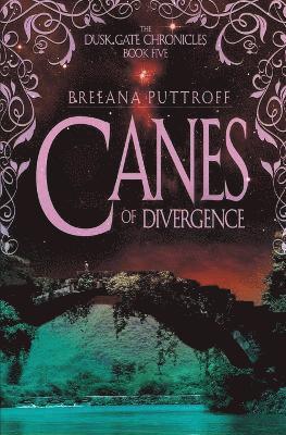 bokomslag Canes of Divergence