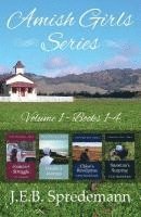 Amish Girls Series - Volume 1 (Books 1-4) 1